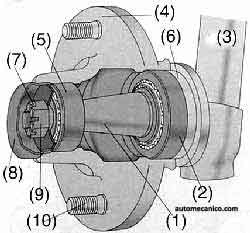 flech1.jpg (11409 bytes)