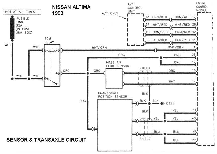 2002 Nissan altima radio wiring diagram #10