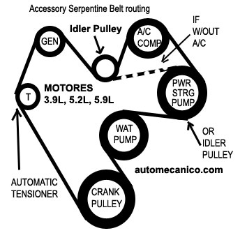 Chrysler Motor 3.9L, 5.2L, 5.9L - Banda serpentina