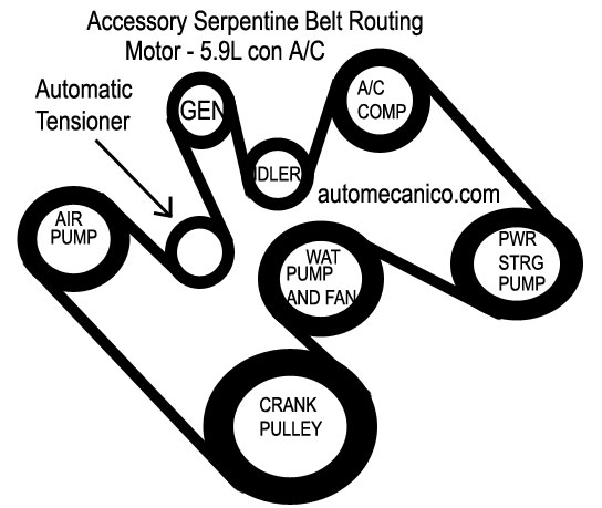 Chrysler Motor 5.9L - Banda serpentina