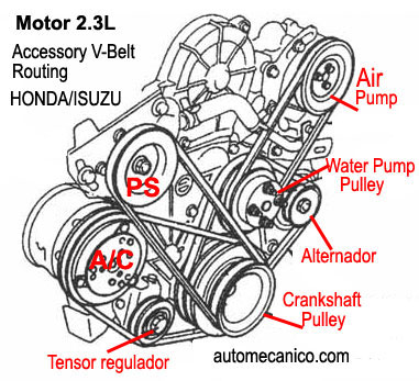 Honda / Isuzu Motor 2.3L - Banda serpentina