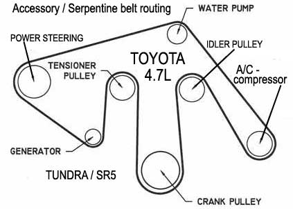 Toyota Tundra, SR5 / motor: 4.7L- serpentine belt routing
