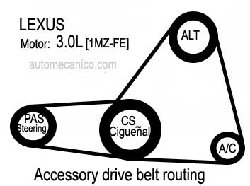 Lexus / motor: 3.0L - V6 - Accessory drive belt routing