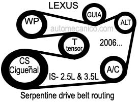 Lexus IS / motor: 2.5L - 3.5L - Serpentine drive belt routing