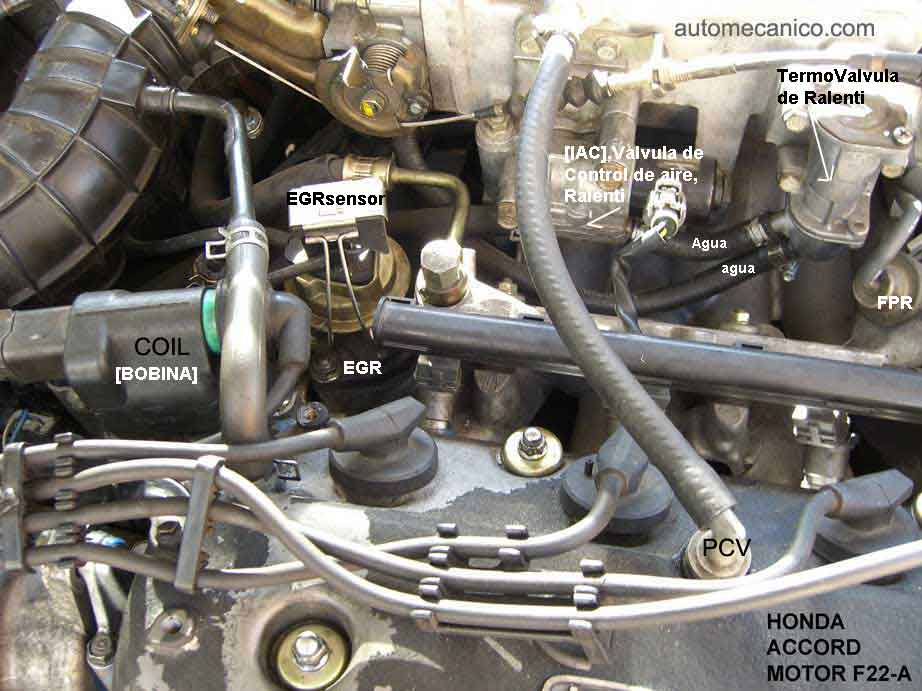 HONDA Accord F22A - Fuel Injection - Ubicac. valvula EGR y PCV
