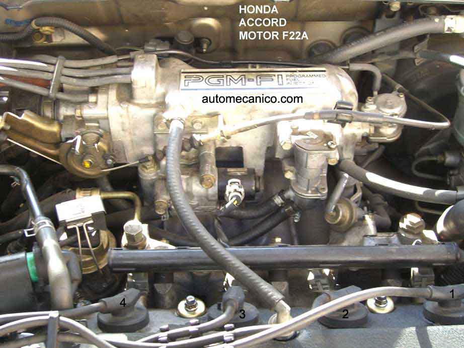 HONDA Accord F22A - Fuel Injection - Numeracion de cilindros