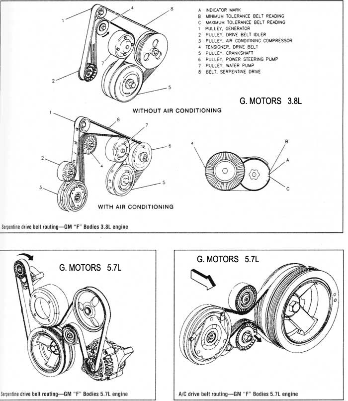 G. MOTORS 3.8L - 5.7L CORREA DE ACCESORIOS