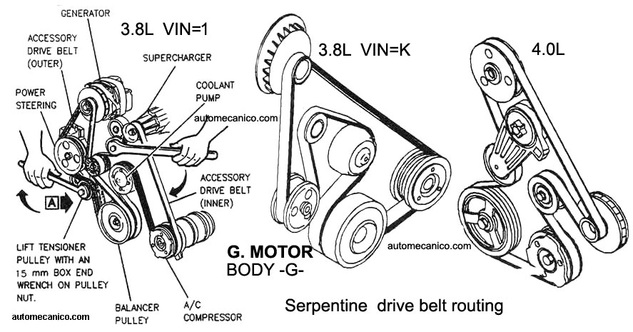G. MOTORS 3.8L - 4.0L - CORREA DE ACCESORIOS