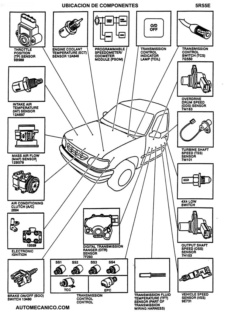 Ford Motor 2.3L - Ubicacion de componentes